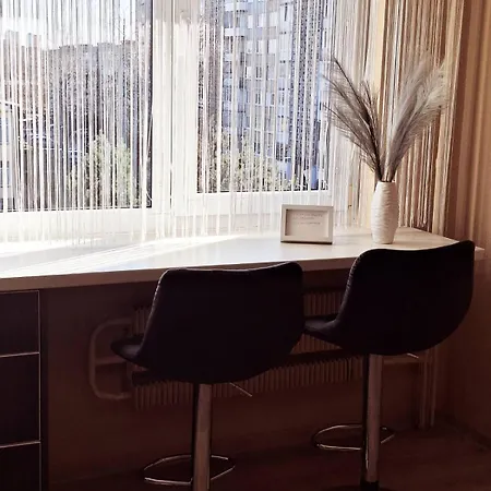 Apartment Luxury On Naujakiemis Street *