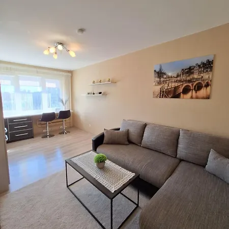 Апартаменты Luxury On Naujakiemis Street *