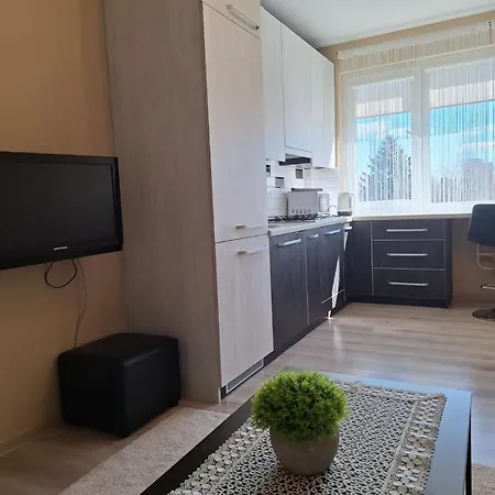Luxury On Naujakiemis Street Апартаменты Клайпеда