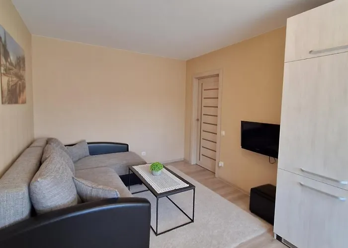 Luxury On Naujakiemis Street *