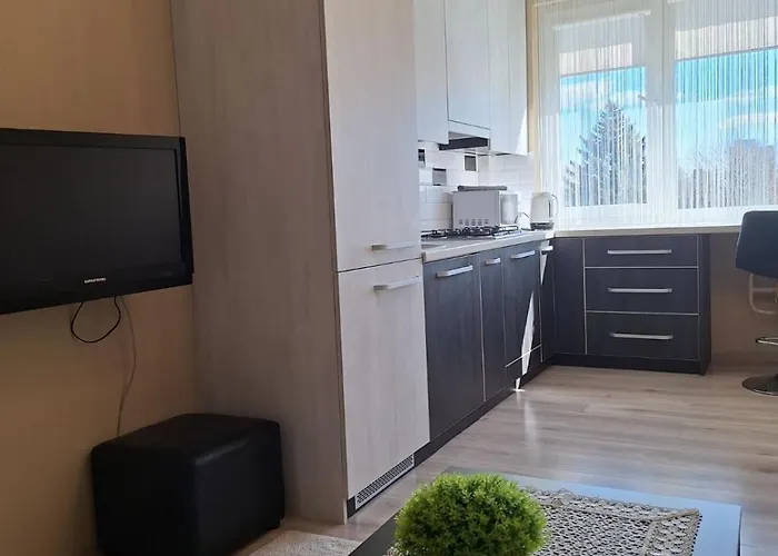 Luxury On Naujakiemis Street Apartment Klaipeda