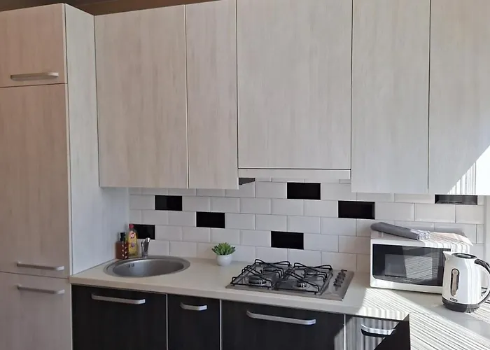 Apartment Luxury On Naujakiemis Street Klaipeda